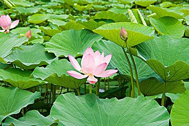 《超级机器人大战Y》开发者访谈 今后将继承传统新进化